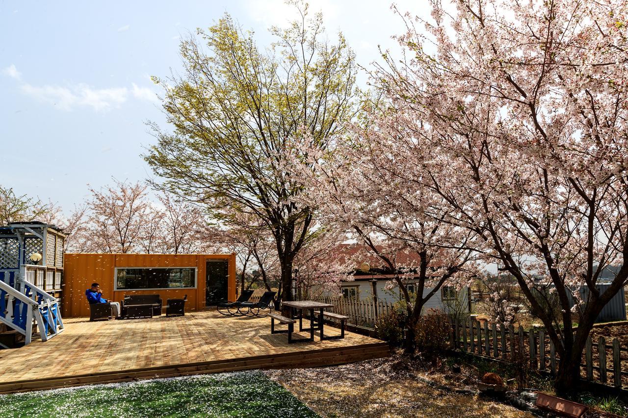 Polaris Tourist Pension Gyeongju Dış mekan fotoğraf